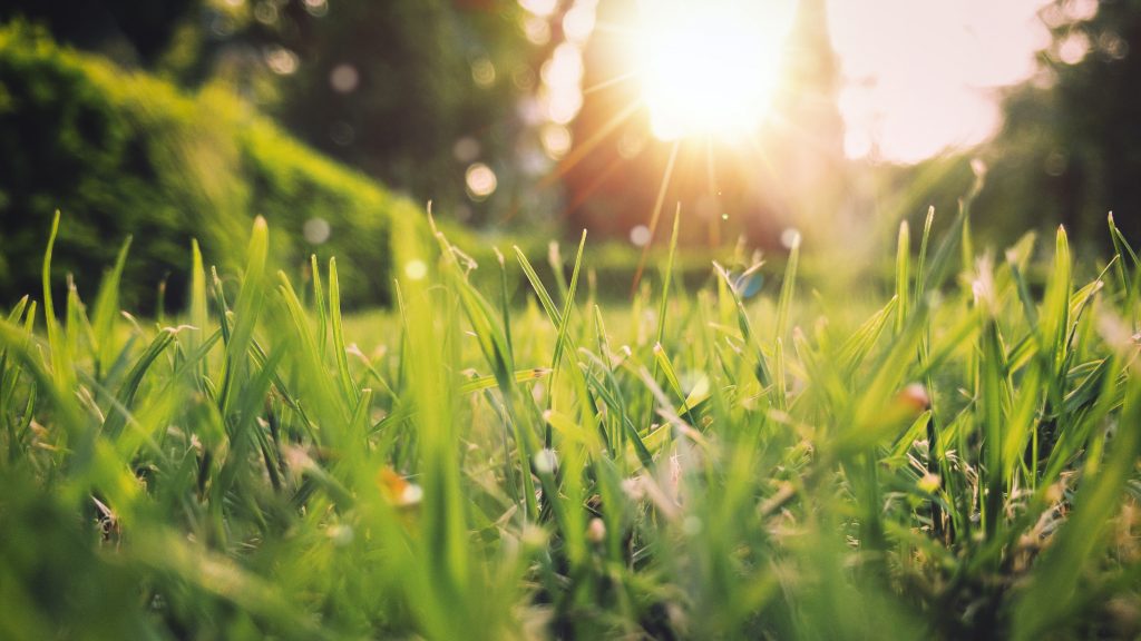 ¡Celebra la llegada de la primavera con energía solar en tu balcón!